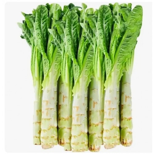 窩筍
